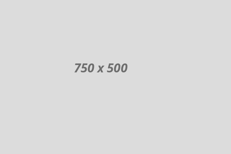 html-dev